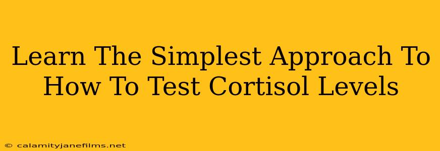 Learn The Simplest Approach To How To Test Cortisol Levels