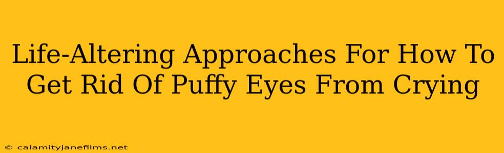 Life-Altering Approaches For How To Get Rid Of Puffy Eyes From Crying