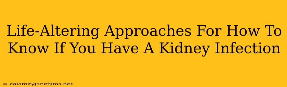 Life-Altering Approaches For How To Know If You Have A Kidney Infection