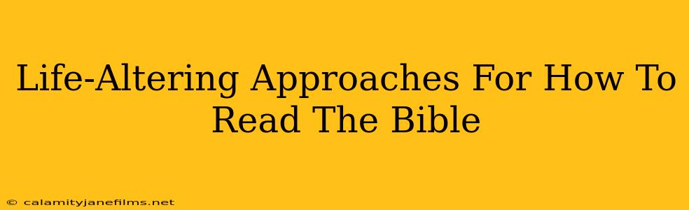 Life-Altering Approaches For How To Read The Bible