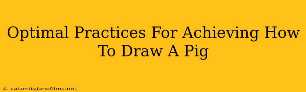 Optimal Practices For Achieving How To Draw A Pig