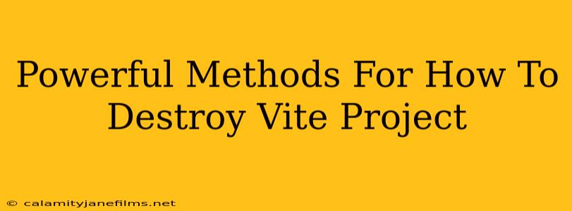 Powerful Methods For How To Destroy Vite Project