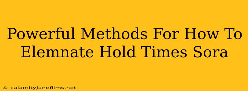 Powerful Methods For How To Elemnate Hold Times Sora