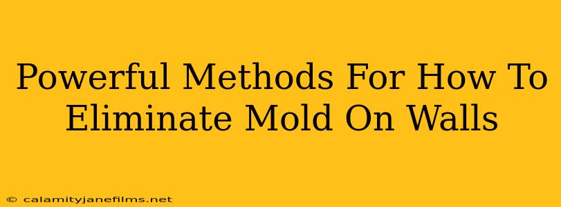 Powerful Methods For How To Eliminate Mold On Walls