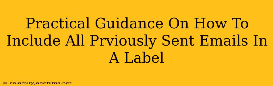 Practical Guidance On How To Include All Prviously Sent Emails In A Label