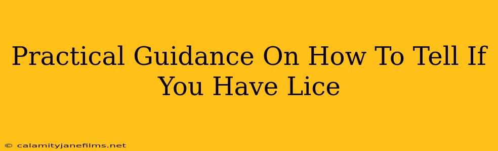 Practical Guidance On How To Tell If You Have Lice