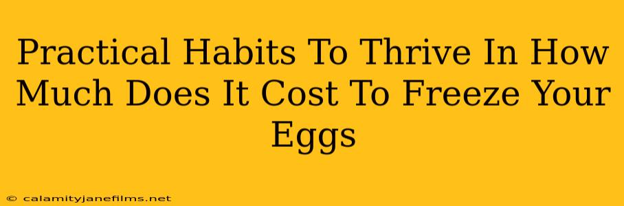 Practical Habits To Thrive In How Much Does It Cost To Freeze Your Eggs