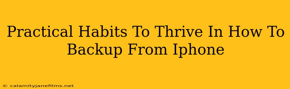 Practical Habits To Thrive In How To Backup From Iphone