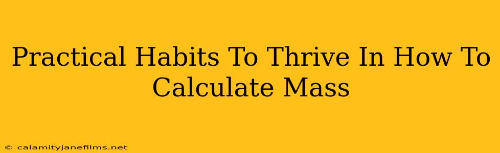 Practical Habits To Thrive In How To Calculate Mass