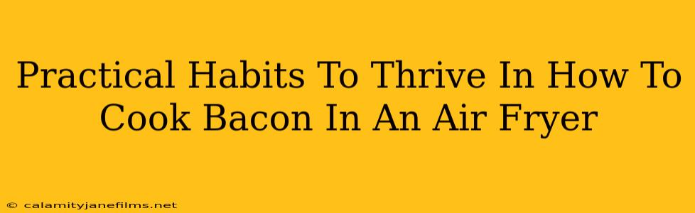 Practical Habits To Thrive In How To Cook Bacon In An Air Fryer