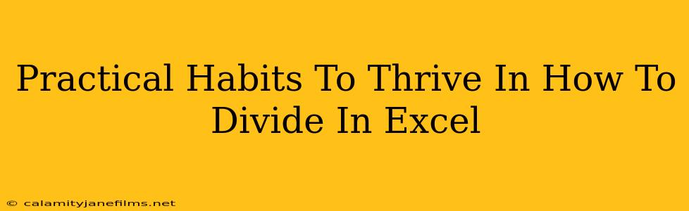 Practical Habits To Thrive In How To Divide In Excel