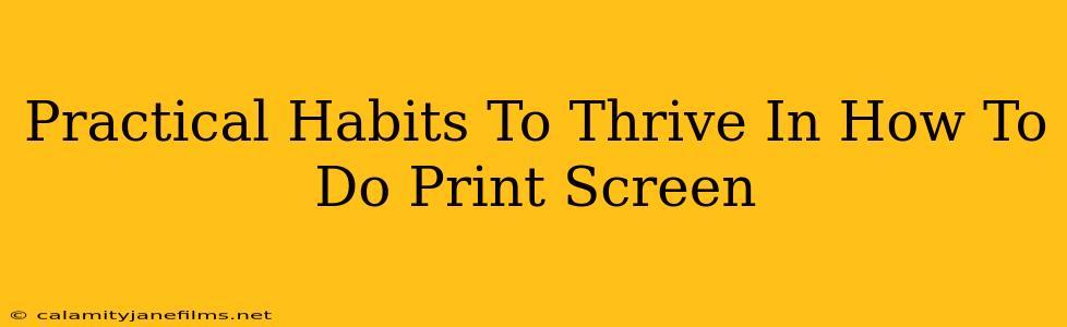 Practical Habits To Thrive In How To Do Print Screen