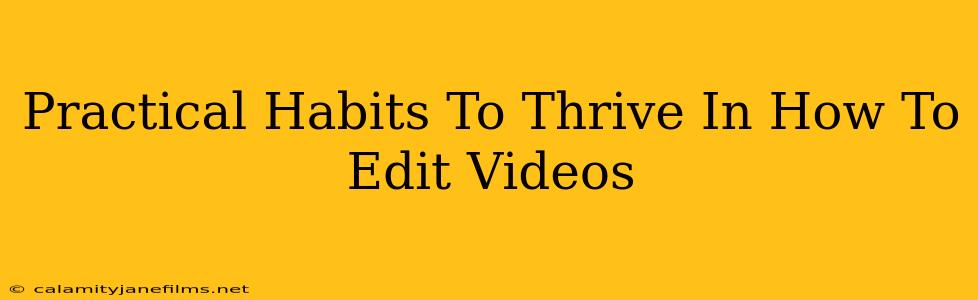 Practical Habits To Thrive In How To Edit Videos