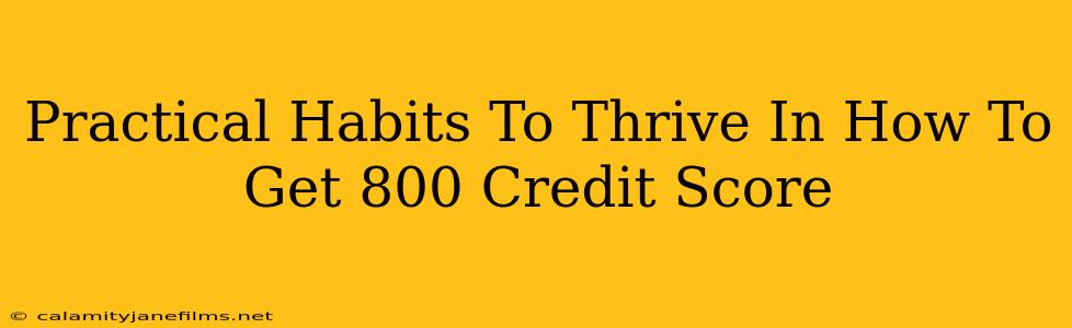 Practical Habits To Thrive In How To Get 800 Credit Score