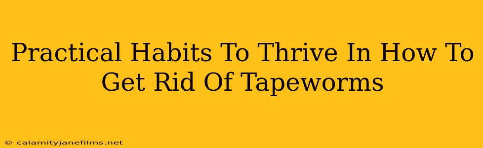 Practical Habits To Thrive In How To Get Rid Of Tapeworms