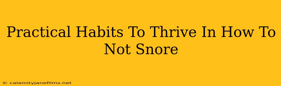 Practical Habits To Thrive In How To Not Snore