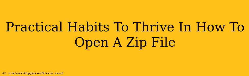 Practical Habits To Thrive In How To Open A Zip File