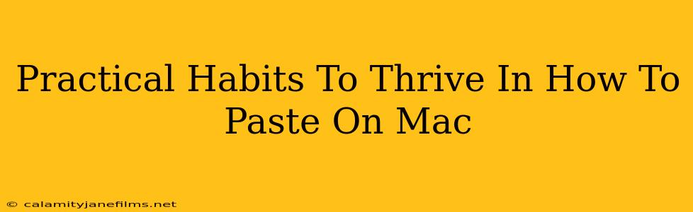 Practical Habits To Thrive In How To Paste On Mac