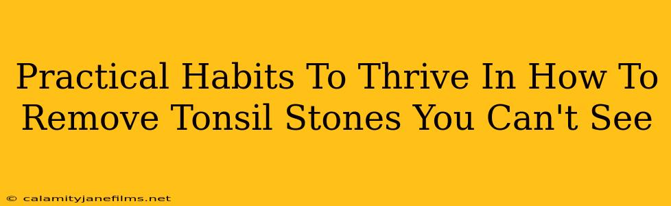 Practical Habits To Thrive In How To Remove Tonsil Stones You Can't See