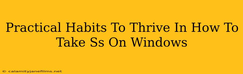 Practical Habits To Thrive In How To Take Ss On Windows