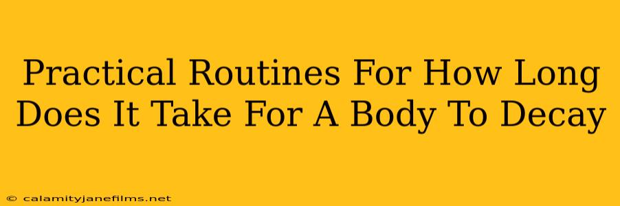 Practical Routines For How Long Does It Take For A Body To Decay