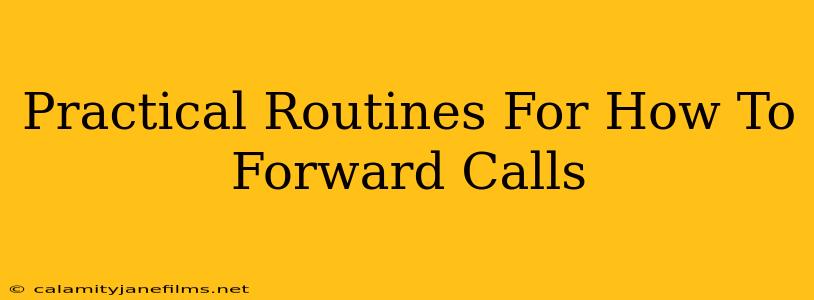 Practical Routines For How To Forward Calls