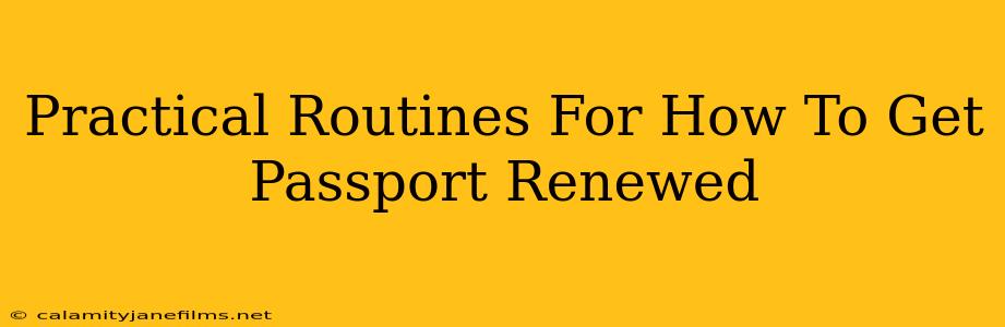 Practical Routines For How To Get Passport Renewed