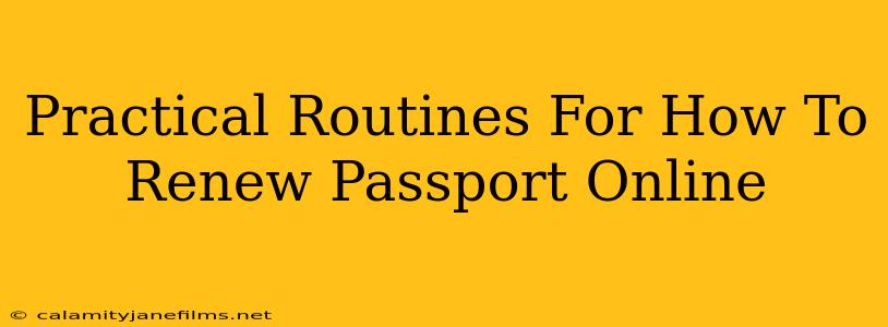 Practical Routines For How To Renew Passport Online