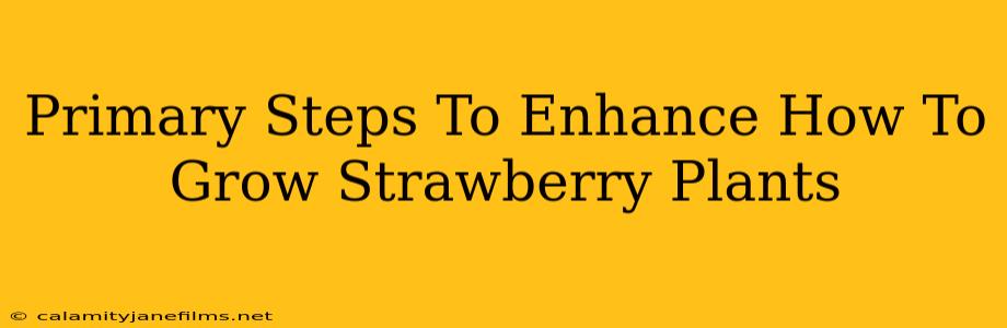 Primary Steps To Enhance How To Grow Strawberry Plants