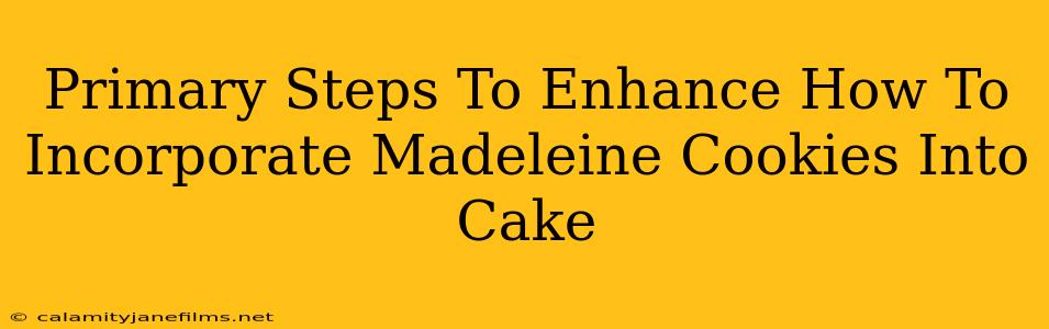 Primary Steps To Enhance How To Incorporate Madeleine Cookies Into Cake