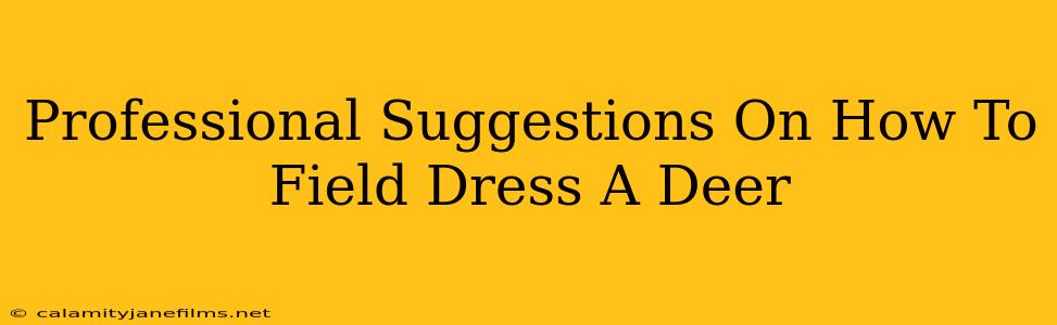 Professional Suggestions On How To Field Dress A Deer