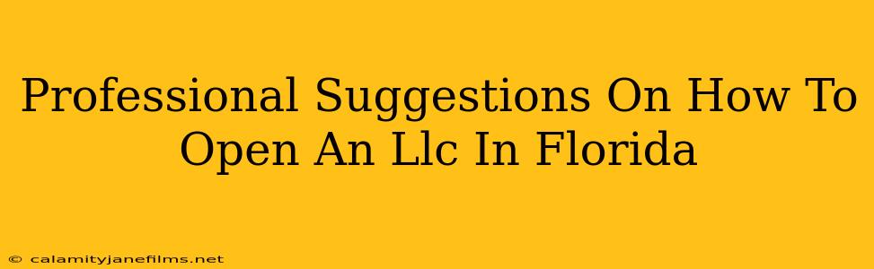 Professional Suggestions On How To Open An Llc In Florida