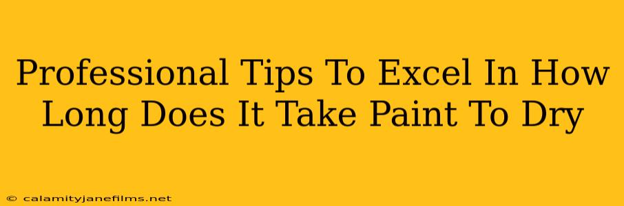 Professional Tips To Excel In How Long Does It Take Paint To Dry