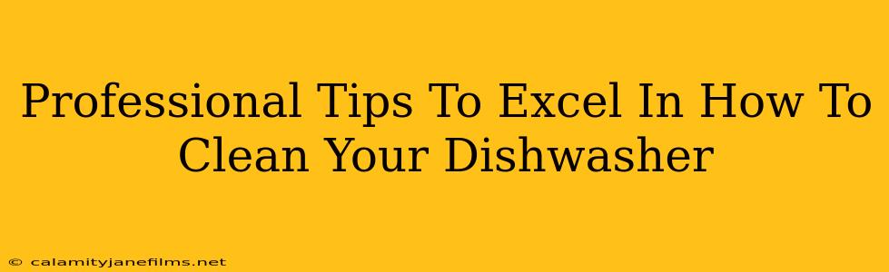 Professional Tips To Excel In How To Clean Your Dishwasher