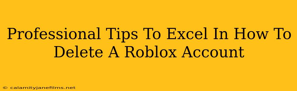 Professional Tips To Excel In How To Delete A Roblox Account