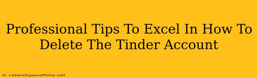 Professional Tips To Excel In How To Delete The Tinder Account