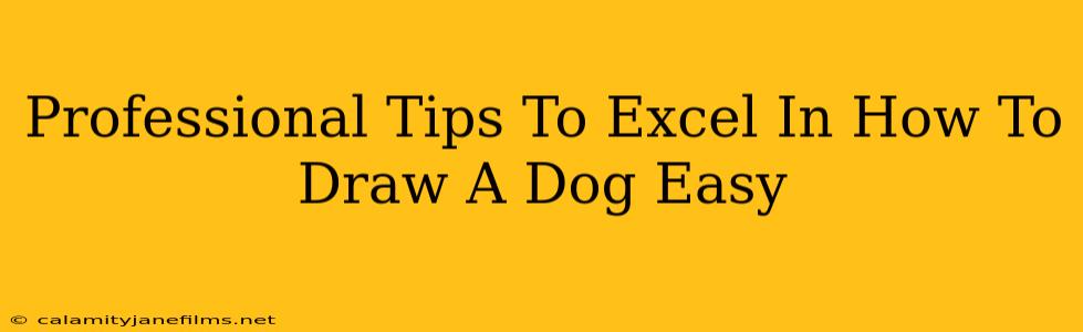 Professional Tips To Excel In How To Draw A Dog Easy