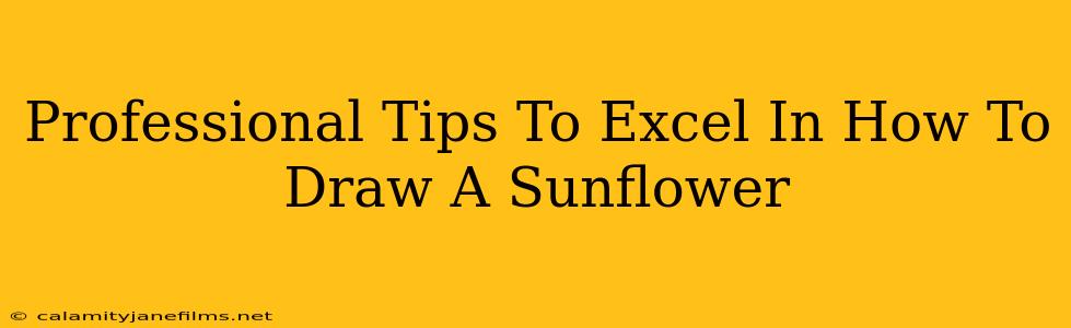 Professional Tips To Excel In How To Draw A Sunflower