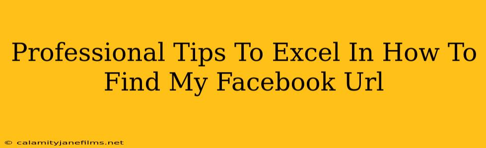 Professional Tips To Excel In How To Find My Facebook Url