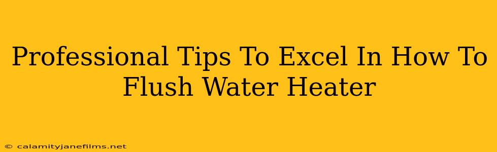 Professional Tips To Excel In How To Flush Water Heater