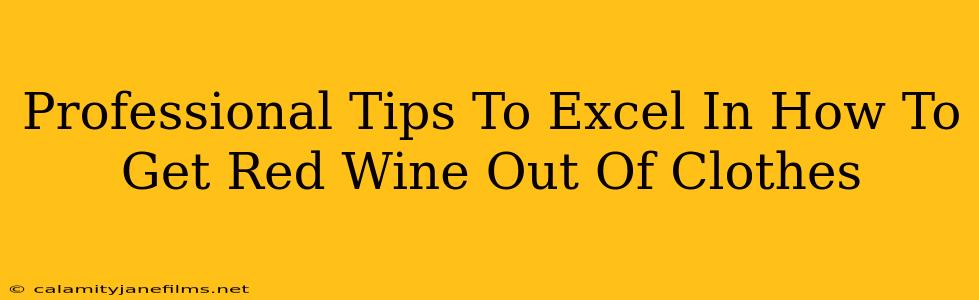 Professional Tips To Excel In How To Get Red Wine Out Of Clothes