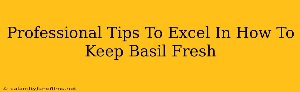 Professional Tips To Excel In How To Keep Basil Fresh