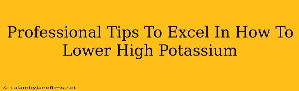 Professional Tips To Excel In How To Lower High Potassium