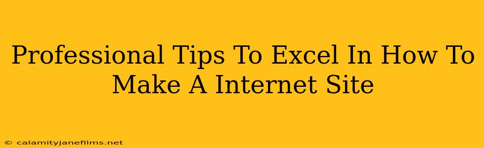 Professional Tips To Excel In How To Make A Internet Site