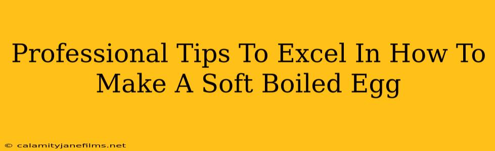 Professional Tips To Excel In How To Make A Soft Boiled Egg