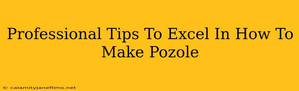 Professional Tips To Excel In How To Make Pozole