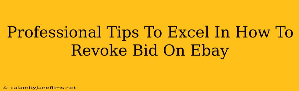 Professional Tips To Excel In How To Revoke Bid On Ebay