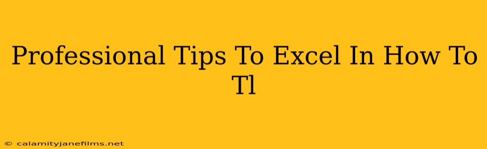 Professional Tips To Excel In How To Tl