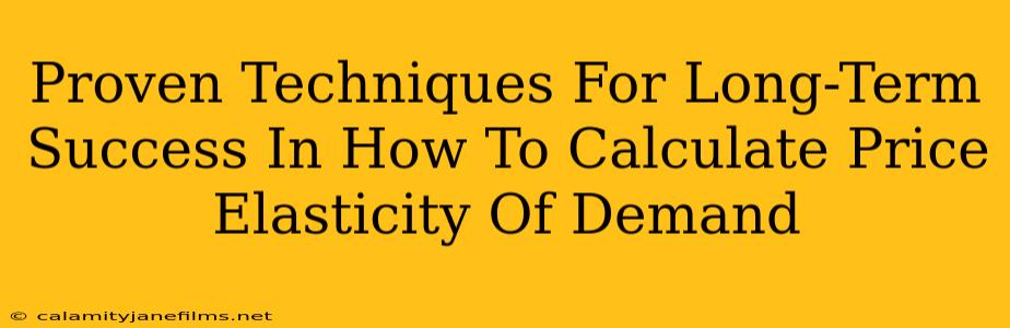 Proven Techniques For Long-Term Success In How To Calculate Price Elasticity Of Demand