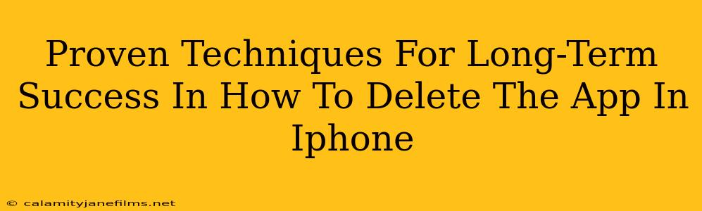 Proven Techniques For Long-Term Success In How To Delete The App In Iphone